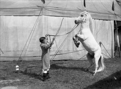 350257 Afbeelding van één van de artiesten van het circus Sprookjesstad Lilliput met een dwergpaardje op het terrein ...